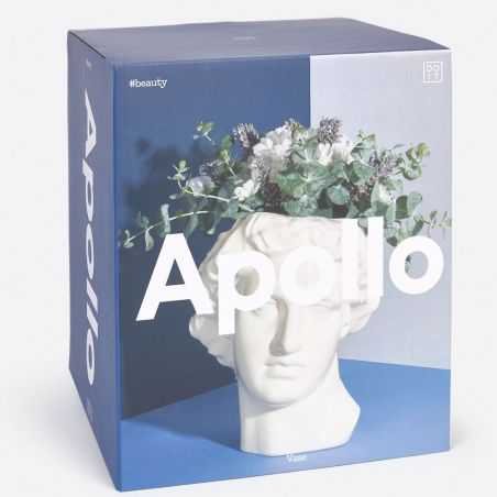 Apollo Bust Vase - White Retro Ornaments  £63.