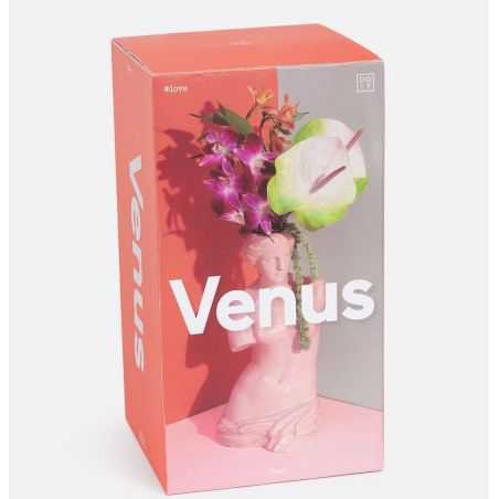 Venus Body Vase - Pink Retro Ornaments  £63.