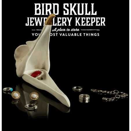 Bird Skull Jewellery Storage Tidy Personal Accessories  £38.00 