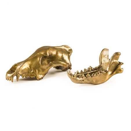 'Diesel Living with Seletti' Wolf Skull Seletti Seletti £168.